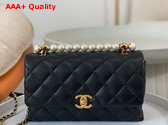 Chanel Small Flap Bag with Top Handle Black Shiny Lambskin Imitation Pearls Gold Tone Metal AS5002 Replica