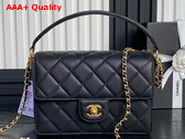 Chanel Small Flap Bag with Top Handle Grained Shiny Calfskin Gold Tone Metal Black AS5166 Replica