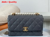 Chanel Small Flap Bag with Top Handle Grey Shiny Lambskin Imitation Pearls Gold Tone Metal AS5002 Replica