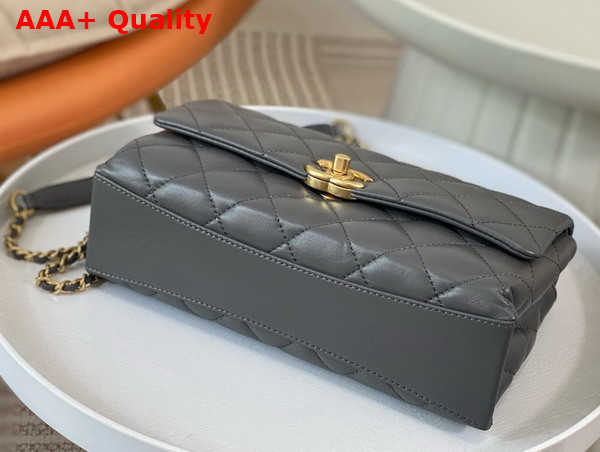 Chanel Small Flap Bag with Top Handle Grey Shiny Lambskin Imitation Pearls Gold Tone Metal AS5002 Replica