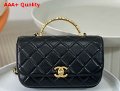 Chanel Small Flap Bag with Top Handle Pearly Lambskin Strass Gold Tone Metal Black AS4835 Replica