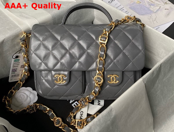 Chanel Small Flap Bag with Top Handle in Gray Shiny Lambskin Gold Tone Metal AS4993 Replica