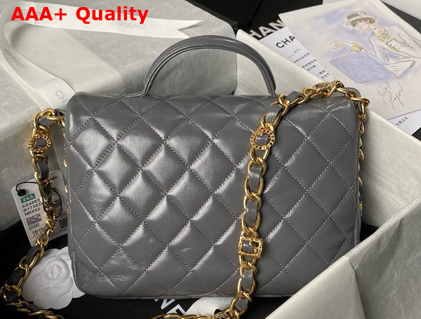 Chanel Small Flap Bag with Top Handle in Gray Shiny Lambskin Gold Tone Metal AS4993 Replica