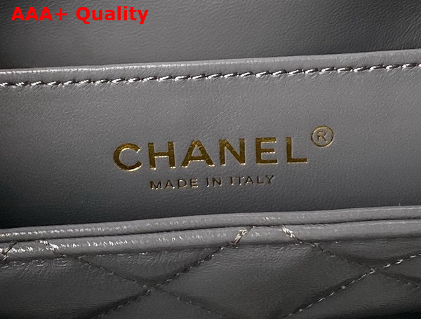 Chanel Small Flap Bag with Top Handle in Gray Shiny Lambskin Gold Tone Metal AS4993 Replica