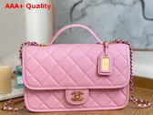 Chanel Small Flap Bag with Top Handle in Pink Grained Calfskin AS3653 Replica