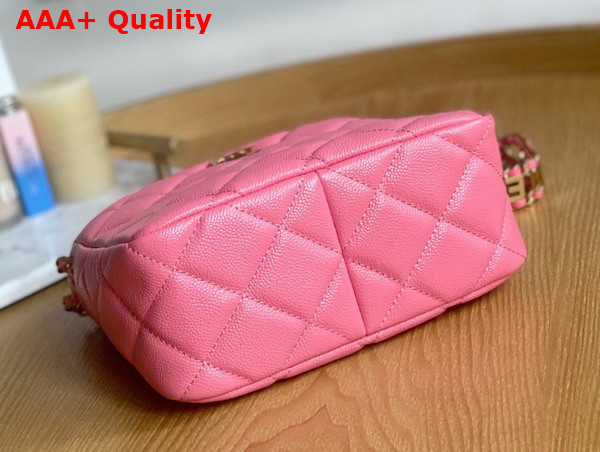 Chanel Small Hobo Bag Grained Calfskin Gold Tone Metal Pink Ref AS3223 Replica