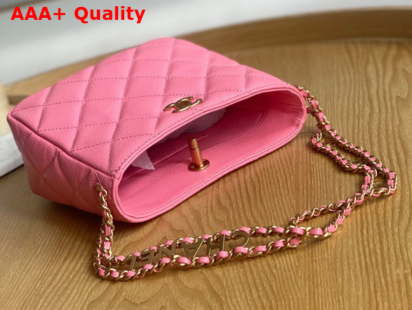 Chanel Small Hobo Bag Grained Calfskin Gold Tone Metal Pink Ref AS3223 Replica