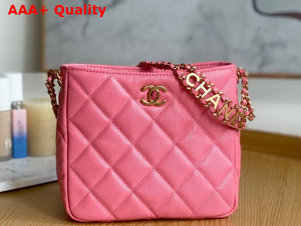 Chanel Small Hobo Bag Grained Calfskin Gold Tone Metal Pink Ref AS3223 Replica