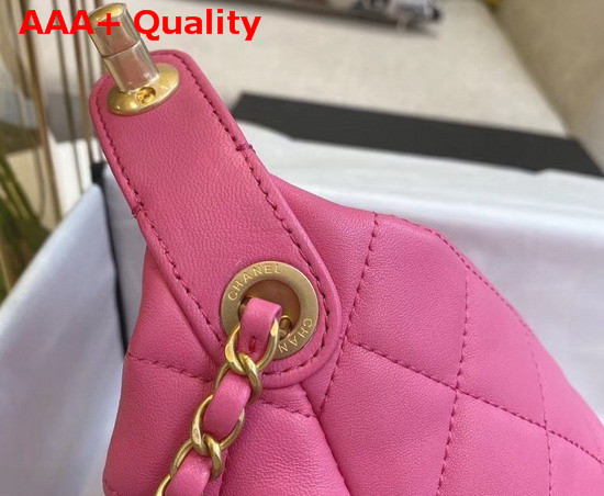 Chanel Small Hobo Bag Lambskin Gold Metal Pink AS1745 Replica