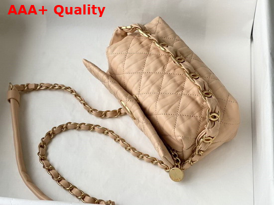 Chanel Small Hobo Bag Nude Crumpled Lambskin and Gold Tone Metal AS2479 Replica