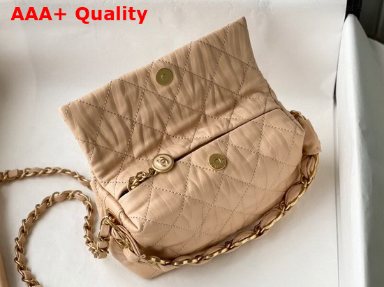 Chanel Small Hobo Bag Nude Crumpled Lambskin and Gold Tone Metal AS2479 Replica