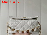 Chanel Small Hobo Bag White Crumpled Lambskin and Gold Tone Metal AS2479 Replica