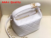 Chanel Small Hobo Bag in White Lambskin Gold Metal AS1745 Replica