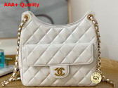 Chanel Small Hobo Bag in White Shiny Crumpled Calfskin Gold Tone Metal AS3690 Replica