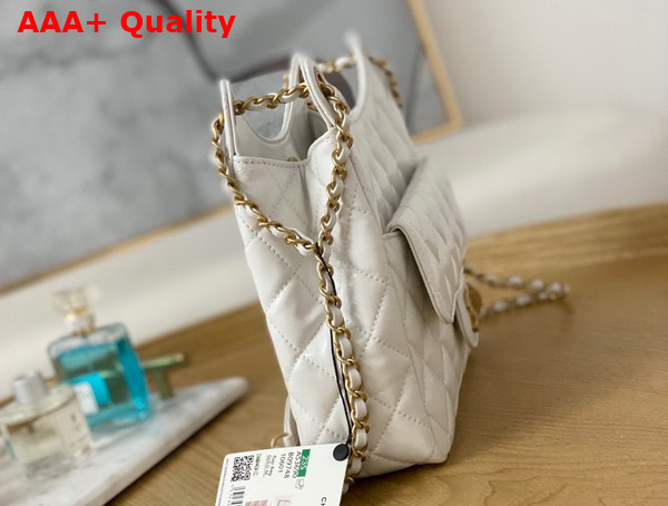 Chanel Small Hobo Bag in White Shiny Crumpled Calfskin Gold Tone Metal AS3690 Replica