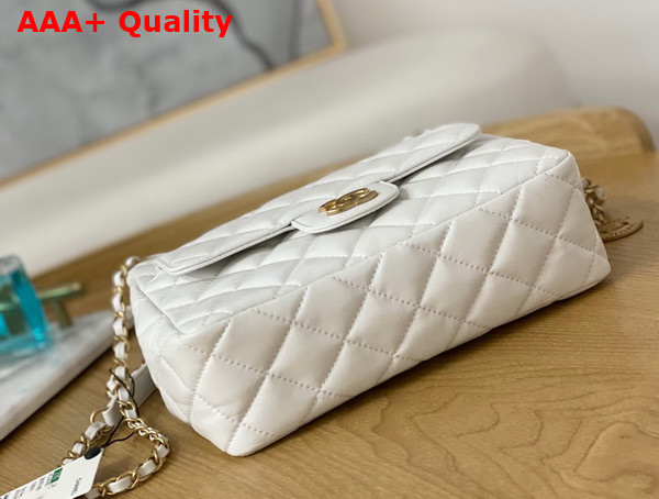 Chanel Small Hobo Bag in White Shiny Crumpled Calfskin Gold Tone Metal AS3690 Replica