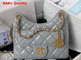 Chanel Small Hobo Handbag in Light Grey Shiny Crumpled Calfskin Gold Tone Metal AS4323 Replica