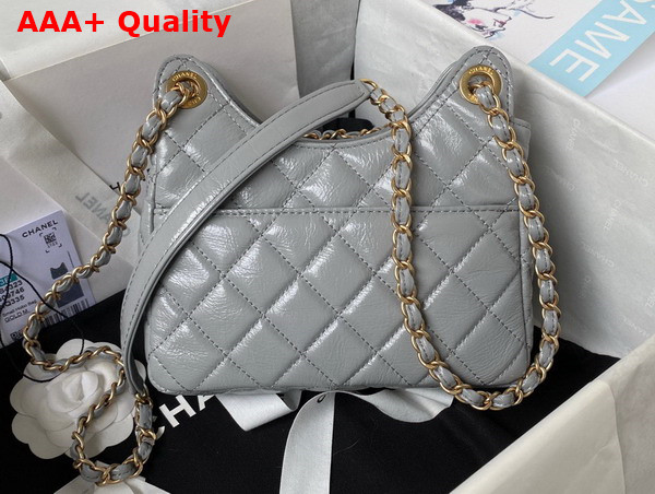 Chanel Small Hobo Handbag in Light Grey Shiny Crumpled Calfskin Gold Tone Metal AS4323 Replica