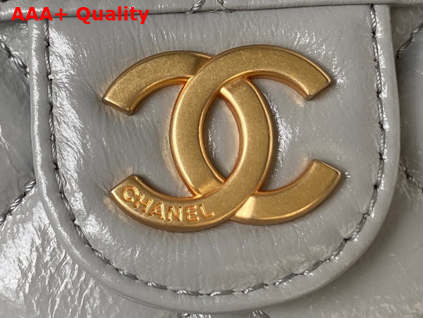 Chanel Small Hobo Handbag in Light Grey Shiny Crumpled Calfskin Gold Tone Metal AS4323 Replica