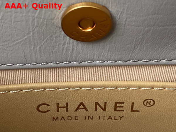 Chanel Small Hobo Handbag in Light Grey Shiny Crumpled Calfskin Gold Tone Metal AS4323 Replica