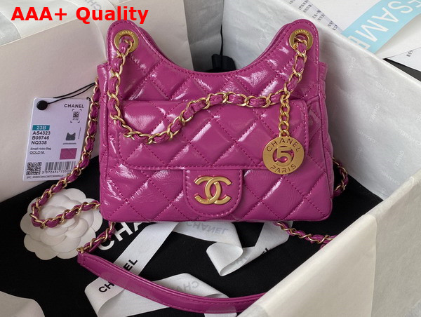 Chanel Small Hobo Handbag in Light Purple Shiny Crumpled Calfskin Gold Tone Metal AS4323 Replica