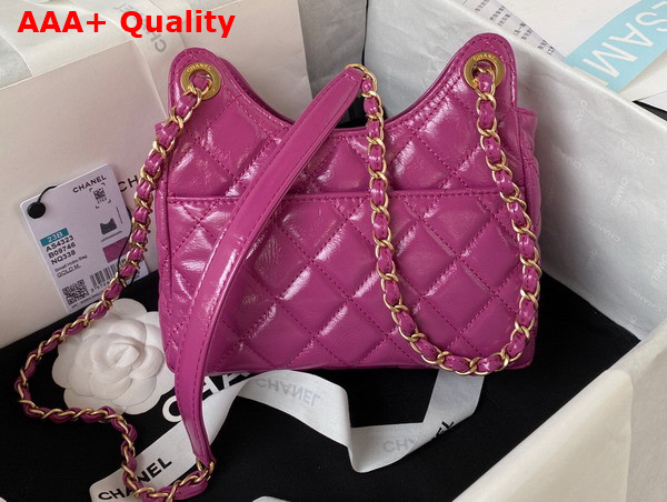 Chanel Small Hobo Handbag in Light Purple Shiny Crumpled Calfskin Gold Tone Metal AS4323 Replica