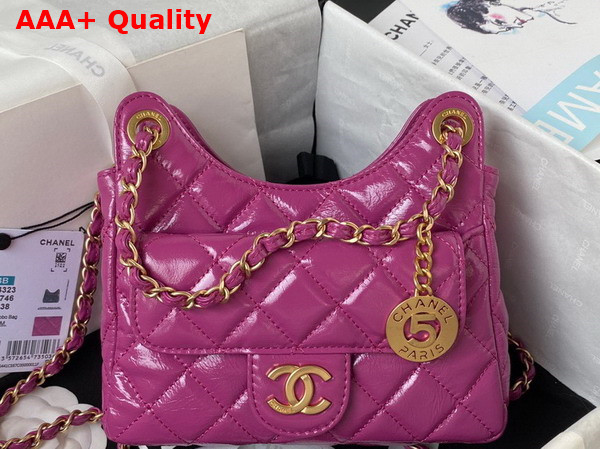 Chanel Small Hobo Handbag in Light Purple Shiny Crumpled Calfskin Gold Tone Metal AS4323 Replica