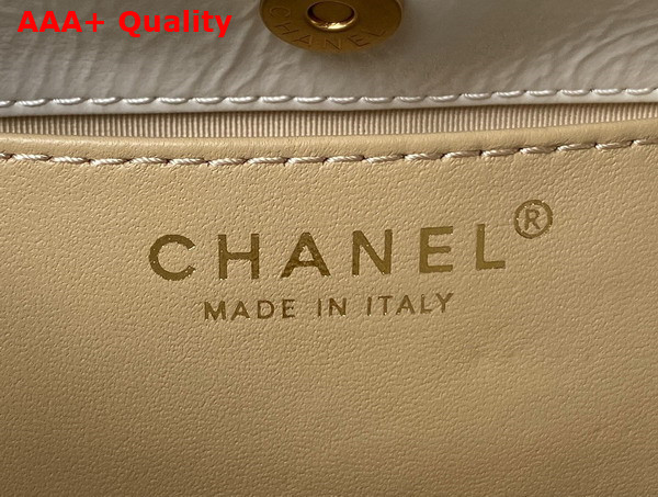 Chanel Small Hobo Handbag in White Shiny Crumpled Calfskin Gold Tone Metal AS4323 Replica