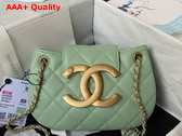 Chanel Small Messenger Bag in Light Green Lambskin AS4609 Replica