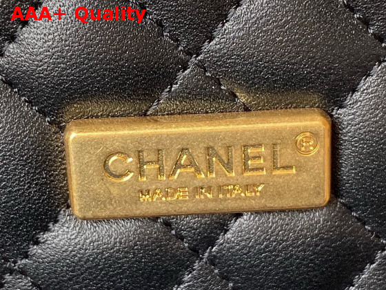 Chanel Small Vanity Case Beech Wood Calfskin Gold Tone Metal Beige and Black Ref AS2928 Replica