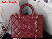 Chanel Small Vanity Case Burgundy Calfskin Gold Tone Metal AS3344 Replica