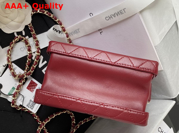 Chanel Small Vanity Case Burgundy Calfskin Gold Tone Metal AS3344 Replica