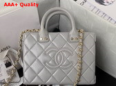 Chanel Small Vanity Case Light Grey Calfskin Gold Tone Metal AS3344 Replica