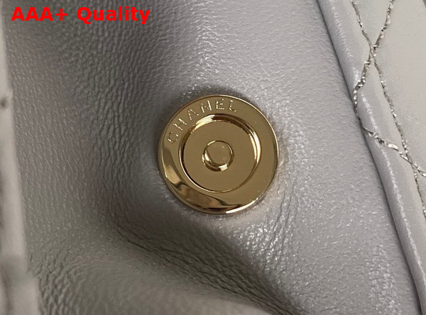 Chanel Small Vanity Case Light Grey Calfskin Gold Tone Metal AS3344 Replica