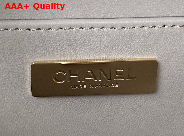 Chanel Small Vanity Case Light Grey Calfskin Gold Tone Metal AS3344 Replica