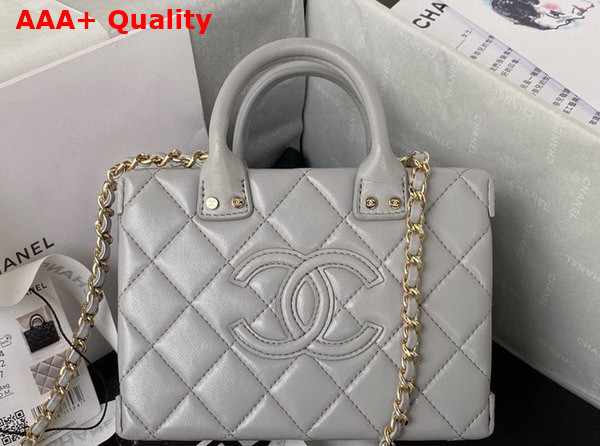 Chanel Small Vanity Case Light Grey Calfskin Gold Tone Metal AS3344 Replica