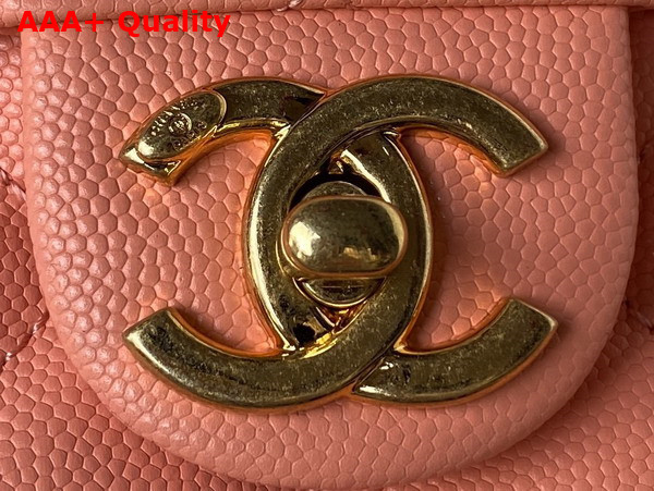 Chanel Small Vanity Case Pink Grained Calfskin Gold Tone Metal Ref AS3729 Replica