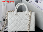 Chanel Small Vanity Case White Calfskin Gold Tone Metal AS3344 Replica