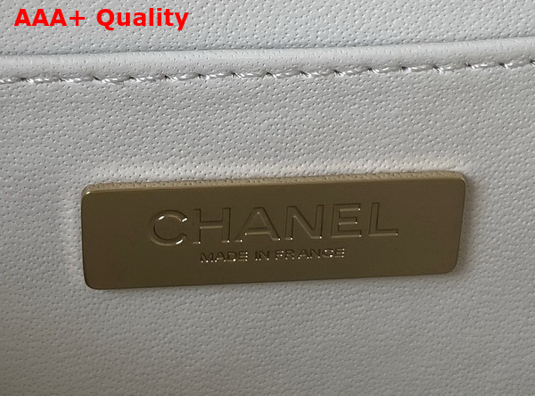 Chanel Small Vanity Case White Calfskin Gold Tone Metal AS3344 Replica