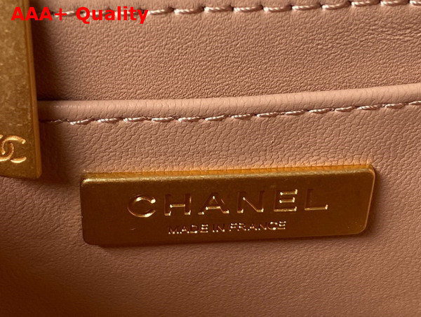 Chanel Small Vanity Case in Beige Lambskin and Gold Tone Metal AS3973 Replica