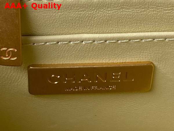 Chanel Small Vanity Case in Light Yellow Lambskin and Gold Tone Metal AS3973 Replica