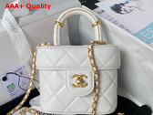 Chanel Small Vanity Case in White Lambskin and Gold Tone Metal AS3973 Replica