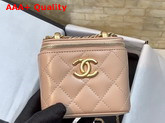 Chanel Small Vanity with Chain Calfskin Gold Tone Metal Beige Ref AP2292 Replica