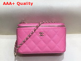 Chanel Small Vanity with Classic Chain Grained Calfskin Gold Tone Metal Pink AP1341 Replica