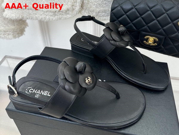 Chanel Thong Sandal in Black Lambskin Leather with Leather Camellia Replica