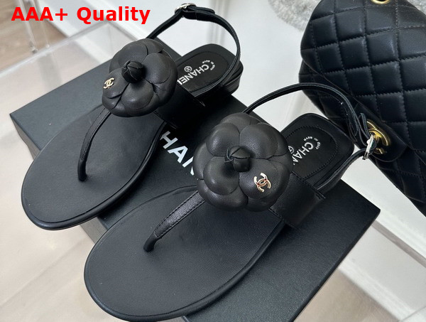 Chanel Thong Sandal in Black Lambskin Leather with Leather Camellia Replica