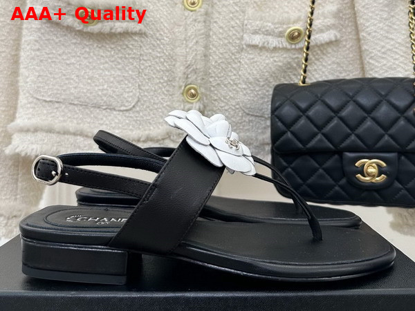 Chanel Thong Sandal in Black Lambskin Leather with White Leather Camellia Replica