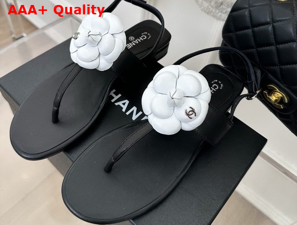 Chanel Thong Sandal in Black Lambskin Leather with White Leather Camellia Replica