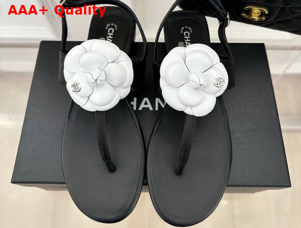 Chanel Thong Sandal in Black Lambskin Leather with White Leather Camellia Replica