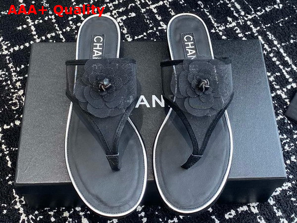 Chanel Thong Sandal in Black Mesh Replica